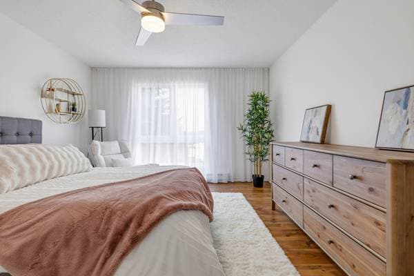 175 Rue de Morency #402, Gatineau (Gatineau) — photo 29