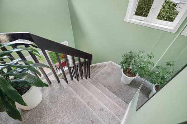 1907Z Rue du Skieur, Sainte-Adèle — photo 17
