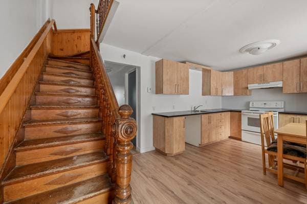 385 Rue St-Joseph, Lévis (Desjardins) — photo 5