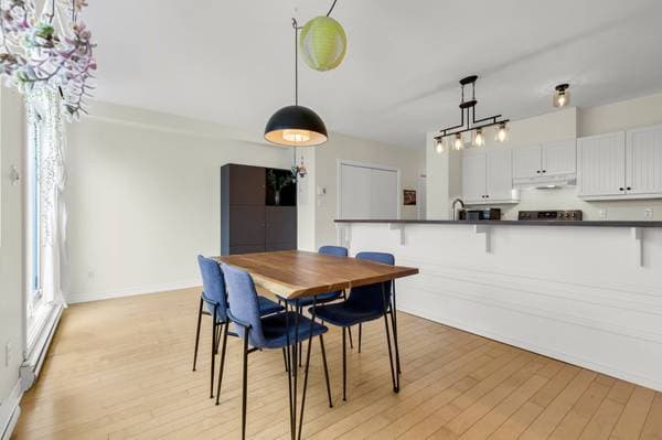 3854 Rue de Rouen #8, Montréal (Mercier/Hochelaga-Maisonneuve) — photo 3