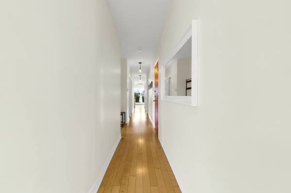 3854 Rue de Rouen #8, Montréal (Mercier/Hochelaga-Maisonneuve) — photo 4
