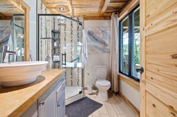 53 Rue de l'Allée, Val-des-Monts — photo 44