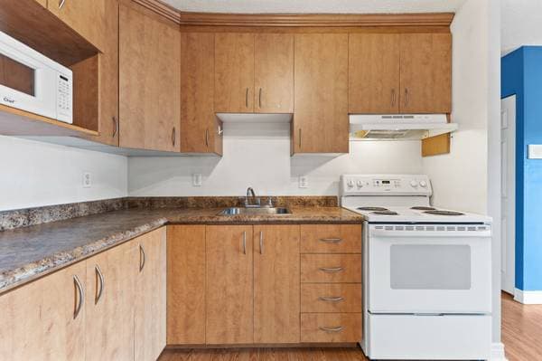 77 Rue Pearson #203, Gatineau (Aylmer) — photo 3