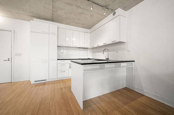1000 Rue Ottawa #1603, Montréal (le Sud-Ouest) — photo 8