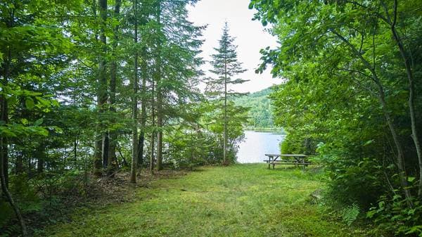 1800 Av. A.-Bertrand, Saint-Adolphe-D'Howard — photo 51