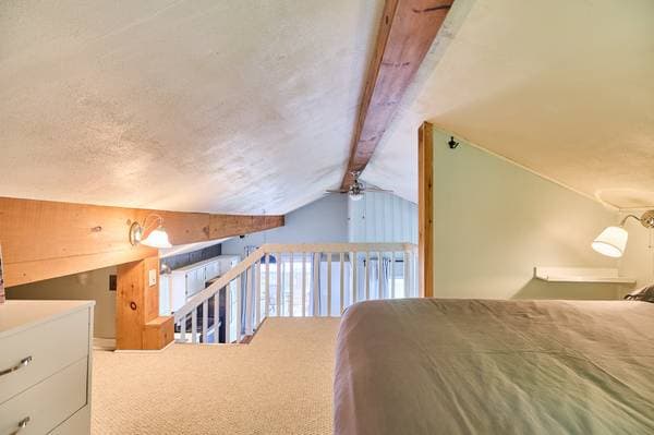 9 Ch. du Lac-Caribou O., Montcalm — photo 20