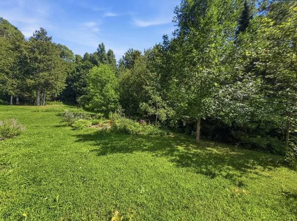 198 Ch. de la Baie-Joannes, Saint-Bruno-de-Guigues — photo 42