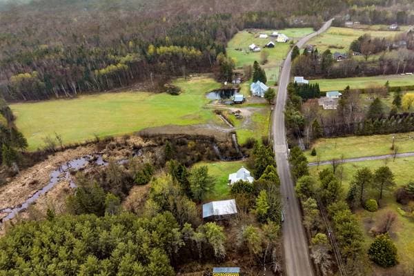 360 Ch. du Lac-Deligny, Mandeville — photo 34