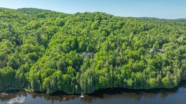 2966 Rue du Domaine-du-Lac-Lucerne, Sainte-Adèle — photo 5