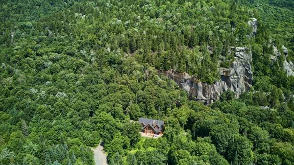 40 Ch. du Premier-de-Cordée, Lac-Supérieur — photo 3