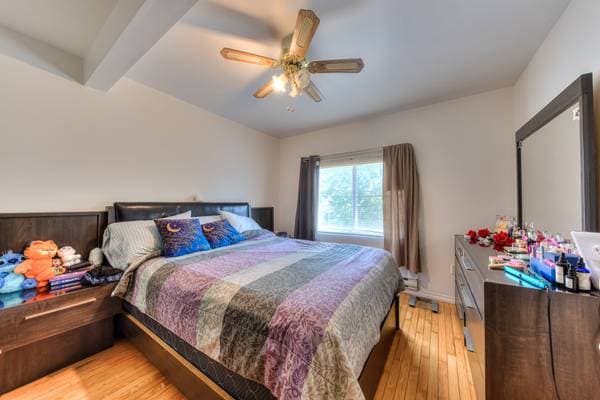 4889 Rue de Charleroi, Montréal (Montréal-Nord) — photo 14