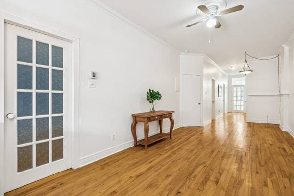 5534 Rue St-Denis, Montréal (le Plateau-Mont-Royal) — photo 12
