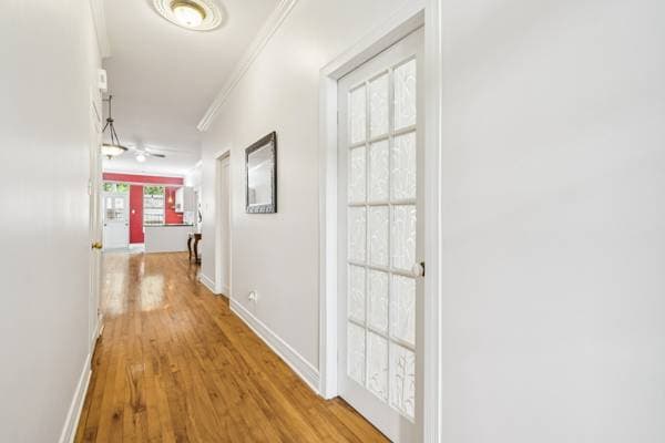 5534 Rue St-Denis, Montréal (le Plateau-Mont-Royal) — photo 13