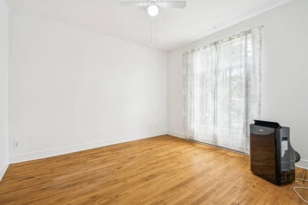5534 Rue St-Denis, Montréal (le Plateau-Mont-Royal) — photo 18