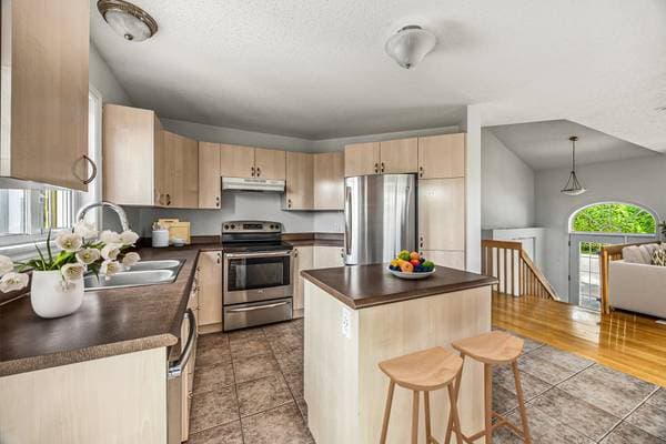 1339 Rue Rita, Gatineau (Gatineau) — photo 12