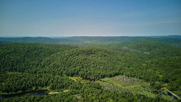 Ch. de la Héronnière, Grenville-sur-la-Rouge — photo 13
