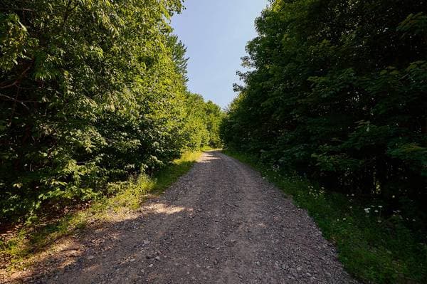 Ch. de la Héronnière, Grenville-sur-la-Rouge — photo 18
