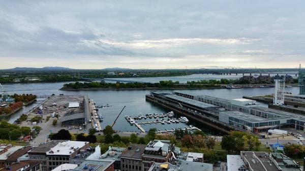 442 Rue St-Gabriel #202, Montréal (Ville-Marie) — photo 26