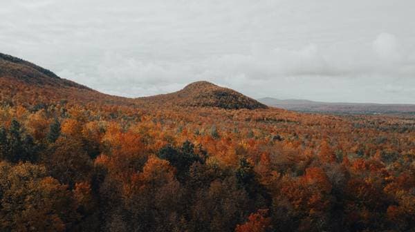 Ch. du Pic-de-l'Ours, Eastman — photo 4