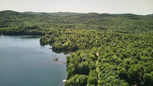 229 Ch. du Lac-Verdure N., Montcalm — photo 43