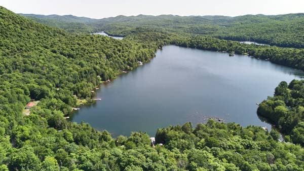 229 Ch. du Lac-Verdure N., Montcalm — photo 44