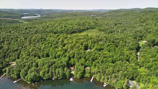 229 Ch. du Lac-Verdure N., Montcalm — photo 45