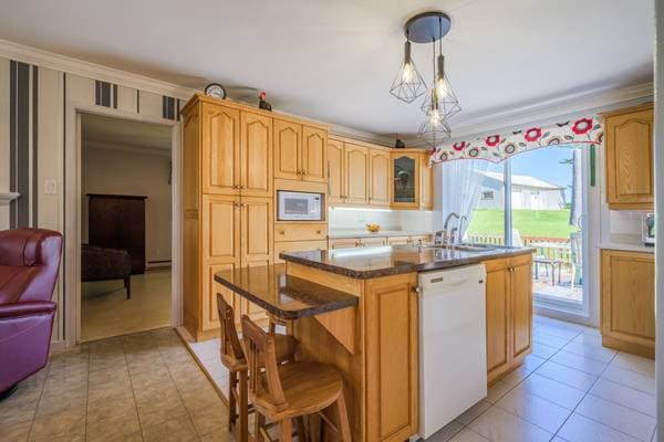 490 Route Marie-Victorin, Baie-du-Febvre — photo 14