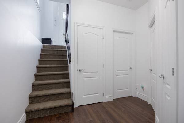 45 Rue des Hémérocalles, Sainte-Brigitte-de-Laval — photo 28