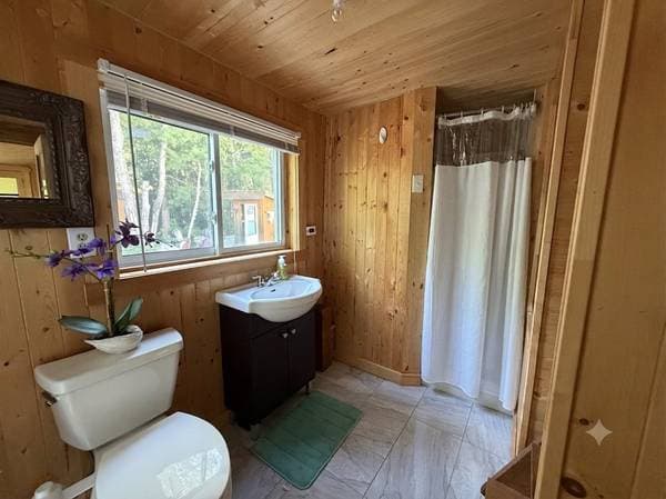 466 Ch. du Lac-Gordon, Témiscaming — photo 21