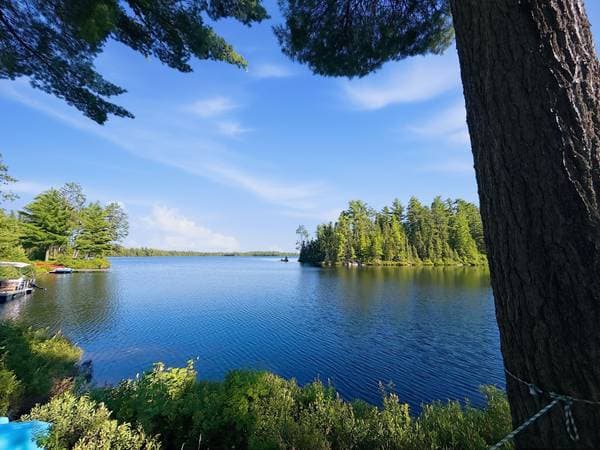 466 Ch. du Lac-Gordon, Témiscaming — photo 31