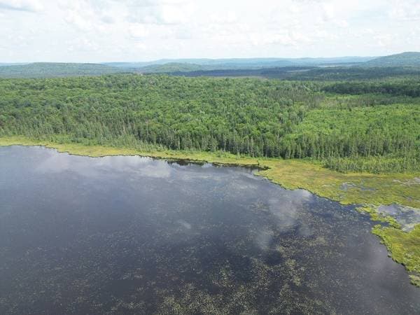 6e Rang, Sainte-Anne-du-Lac — photo 4