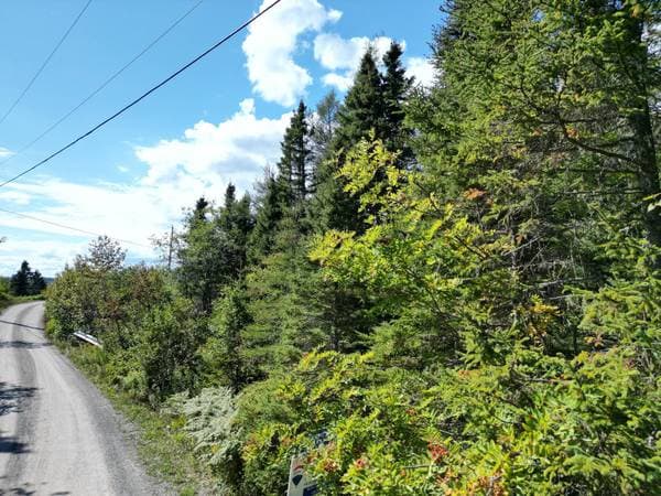Rue de l'Anse, Chandler — photo 4
