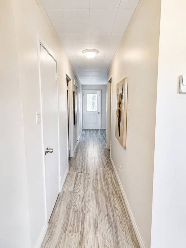 1041 -1043 Rue du Parc, Rimouski — photo 10