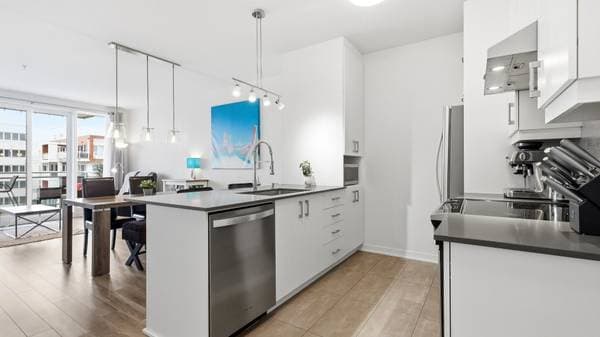 2520 Rue Maurice-Savoie #302, Longueuil (le Vieux-Longueuil) — photo 4