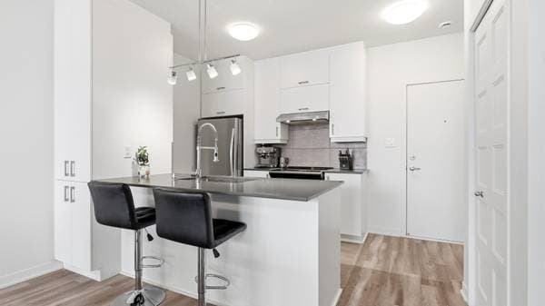2520 Rue Maurice-Savoie #302, Longueuil (le Vieux-Longueuil) — photo 5