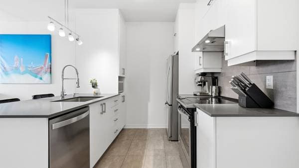 2520 Rue Maurice-Savoie #302, Longueuil (le Vieux-Longueuil) — photo 6
