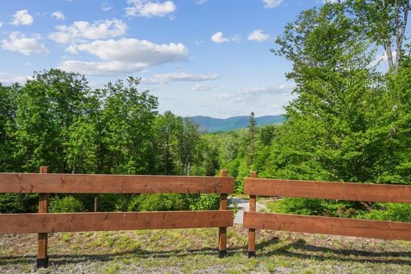 23 Ch. du Trappeur, Mont-Tremblant — photo 11