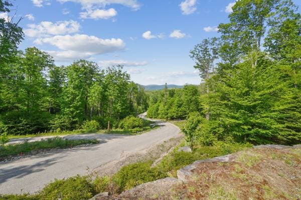 23 Ch. du Trappeur, Mont-Tremblant — photo 12