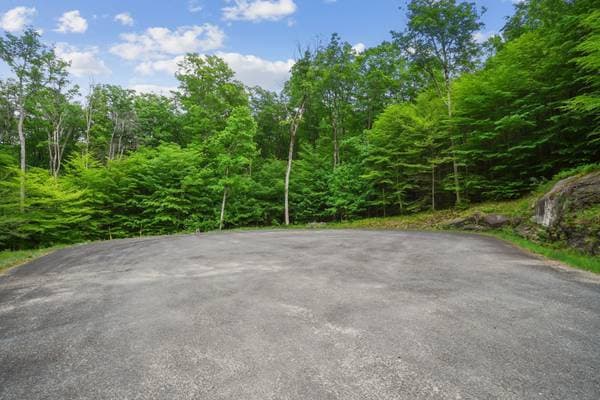 23 Ch. du Trappeur, Mont-Tremblant — photo 14