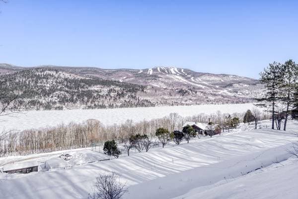 23 Ch. du Trappeur, Mont-Tremblant — photo 19