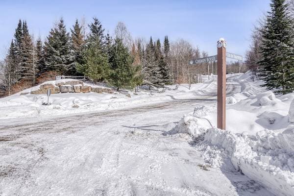 23 Ch. du Trappeur, Mont-Tremblant — photo 20