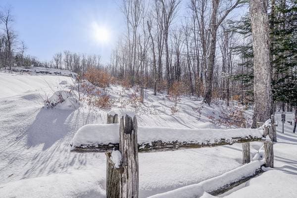 23 Ch. du Trappeur, Mont-Tremblant — photo 21