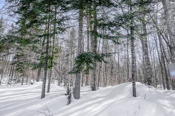 23 Ch. du Trappeur, Mont-Tremblant — photo 22