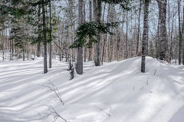 23 Ch. du Trappeur, Mont-Tremblant — photo 23