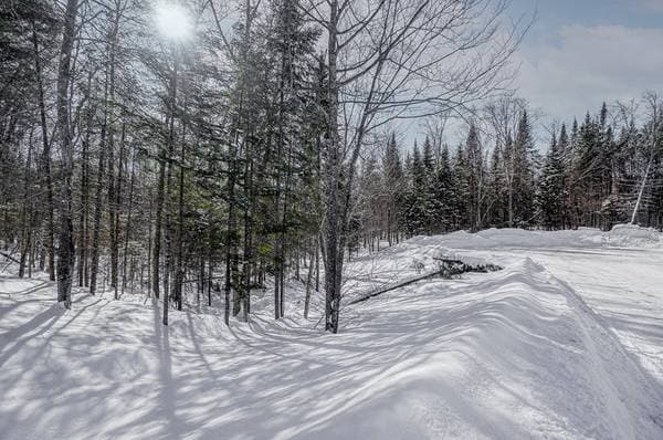 23 Ch. du Trappeur, Mont-Tremblant — photo 24