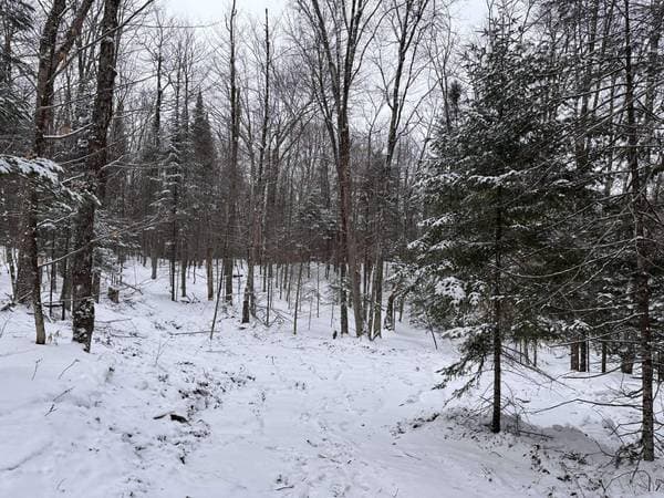 23 Ch. du Trappeur, Mont-Tremblant — photo 25