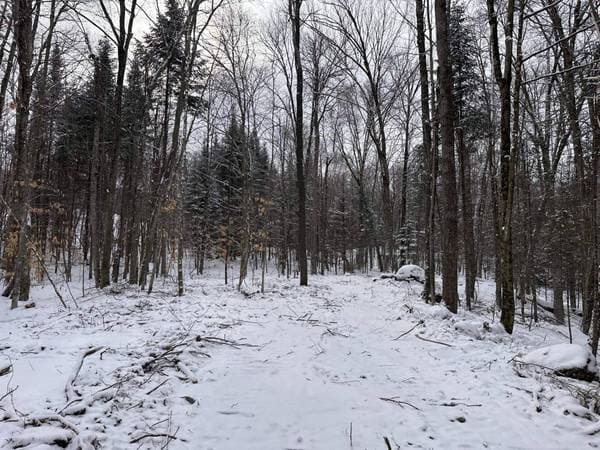 23 Ch. du Trappeur, Mont-Tremblant — photo 26