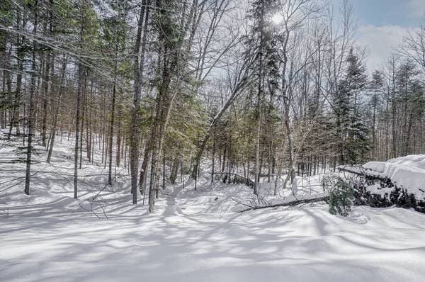 23 Ch. du Trappeur, Mont-Tremblant — photo 28
