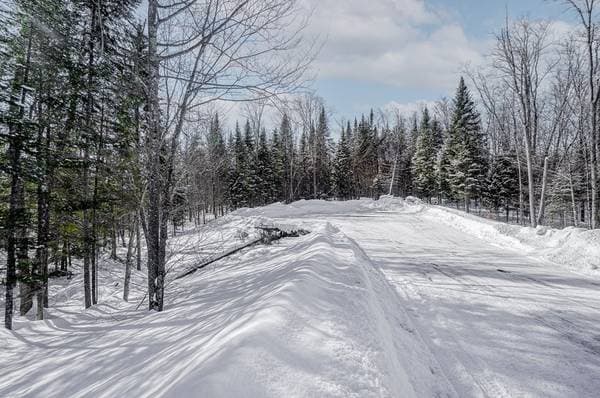 23 Ch. du Trappeur, Mont-Tremblant — photo 30