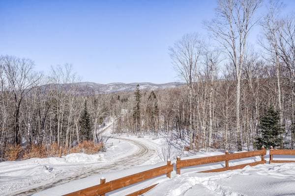 23 Ch. du Trappeur, Mont-Tremblant — photo 32
